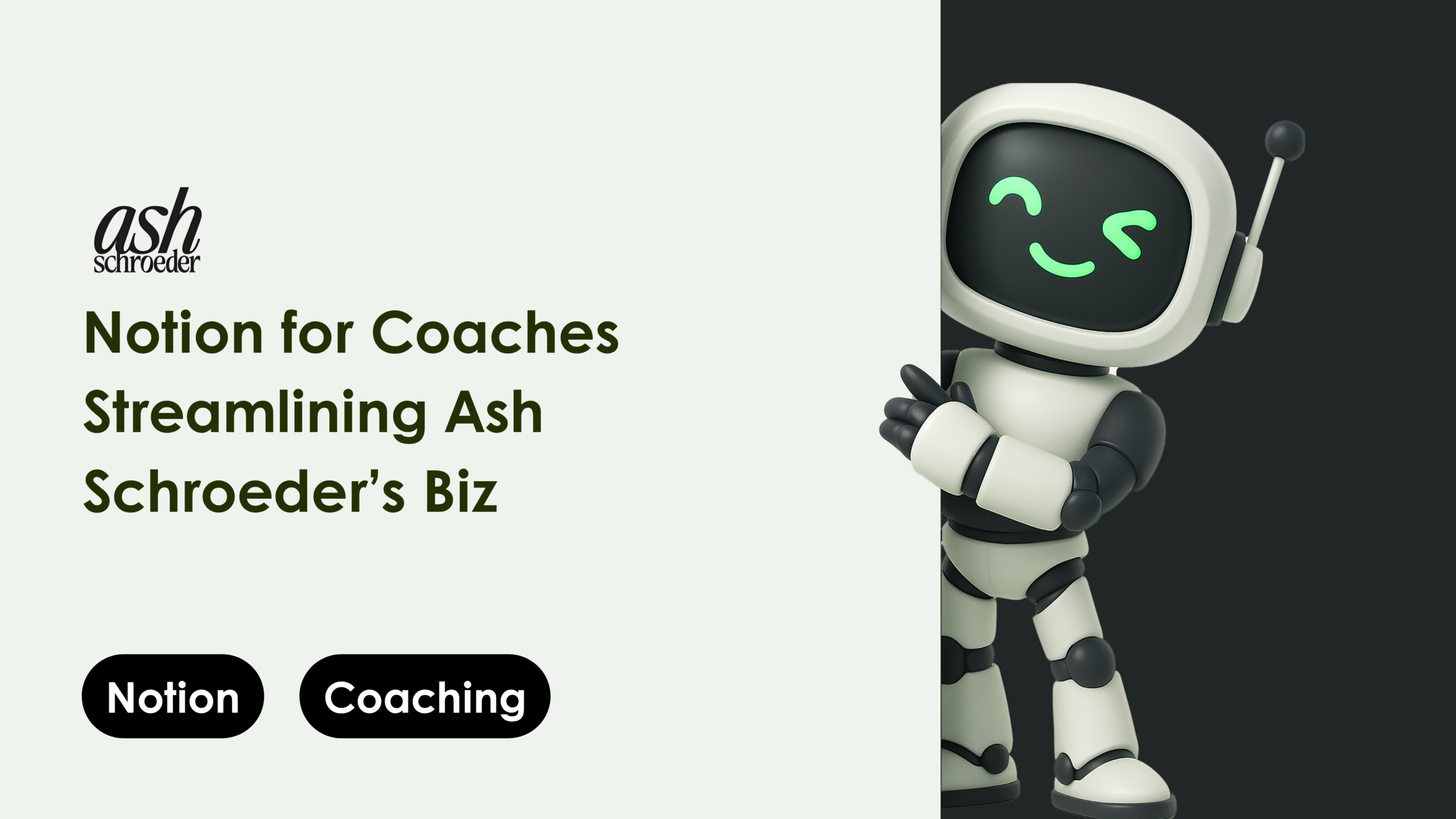 How Camel Tech helped Ash Schroeder streamline her coaching biz with Notion