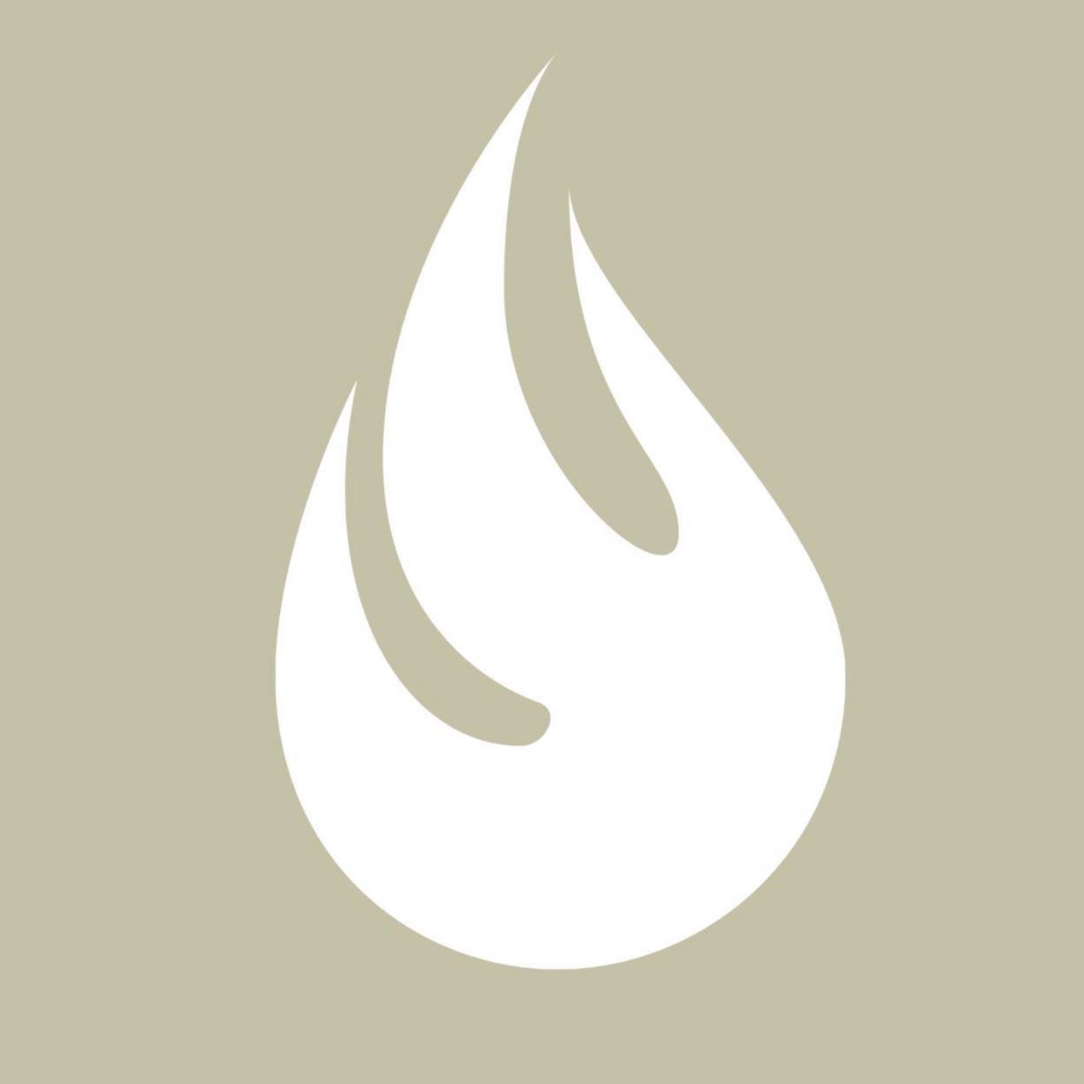 Fine Ink Studio