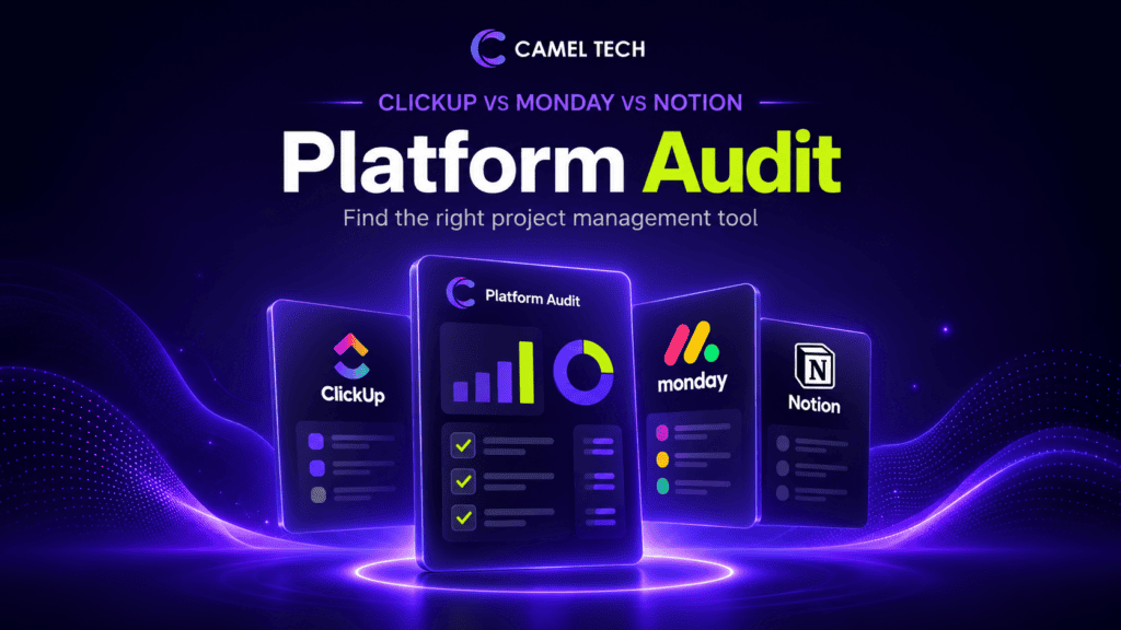 Project Management Platform Audit